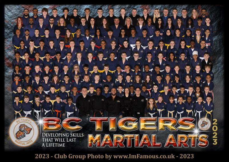 Bc Tigers Martial Arts West Bromwich