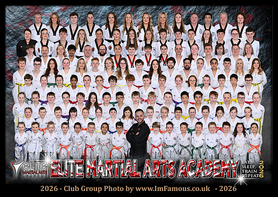 Elite Martial Arts Academy