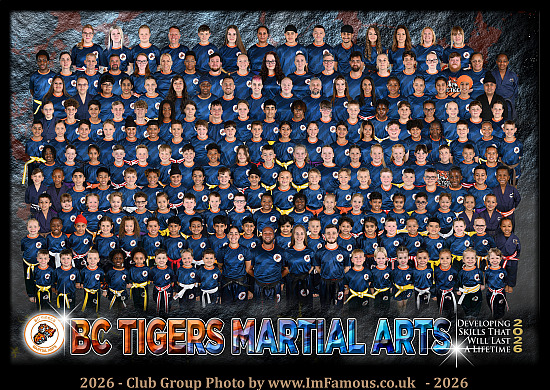 BC Tigers Martial Arts 